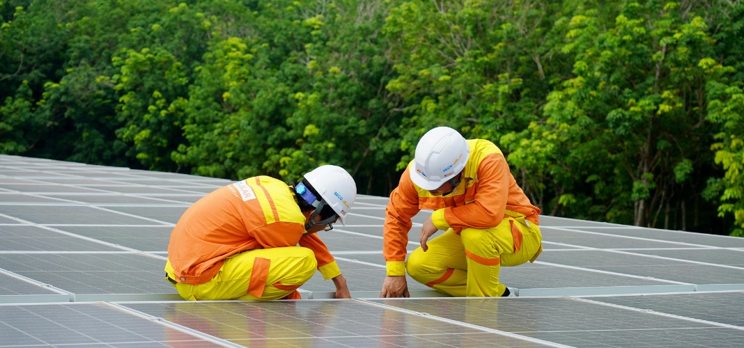 How to Build a Greener Supply Chain in 2024